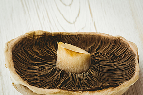Fresh mushroom on wooden background