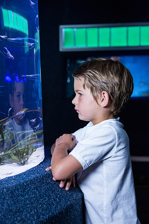 young man looking at fish in tank at the aquarium