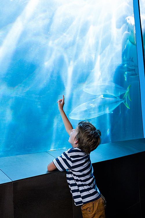 Young man pointing something with his hand in a tank at the aquarium