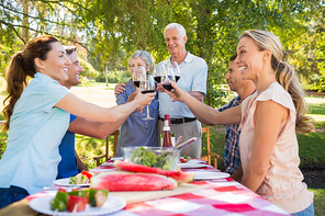 Happy seniors toasting with their family on a sunny day