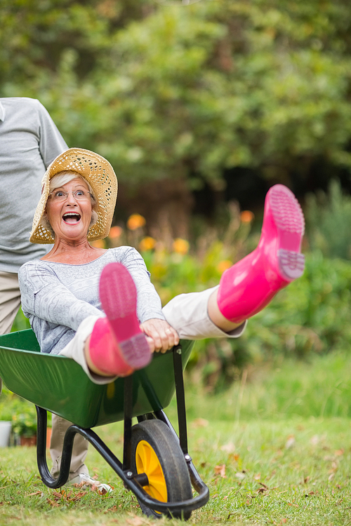 Happy senior couple playing with a wheelbarrow in a sunny day