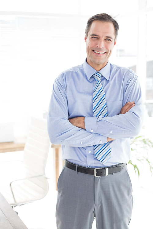 Smiling businessman  in his office