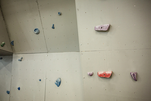 Rock climbing wall in crossfit gym