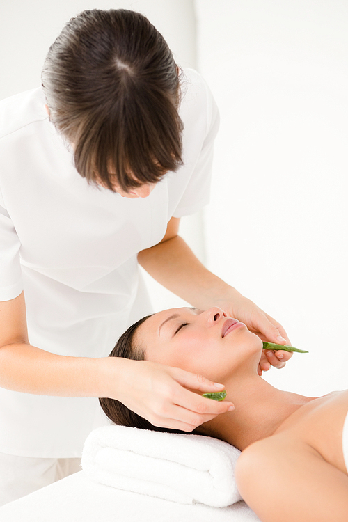 Attractive young woman receiving aloe vera massage at spa center