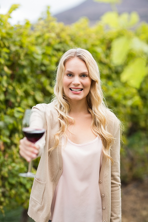 Young happy woman holding a glass of wine and  in the grape fields