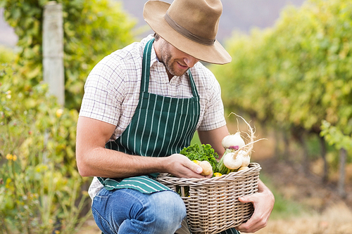 Young happy farmer holding a basket of vegetables in the field