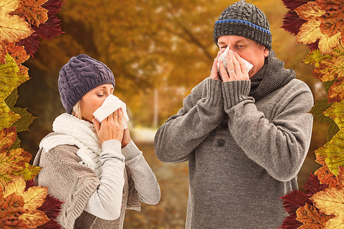 Composite image of sick mature couple blowing their noses