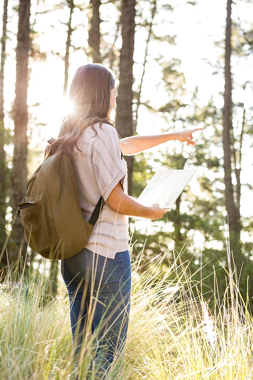 Brunette hiker with map pointing far away in the nature