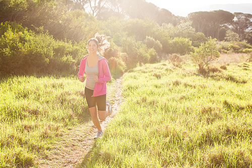 Fit woman jogging in the forest on a sunny day
