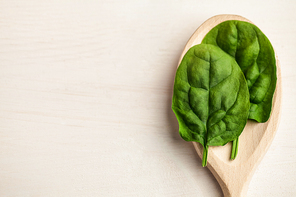 Portion cup of basil leaves