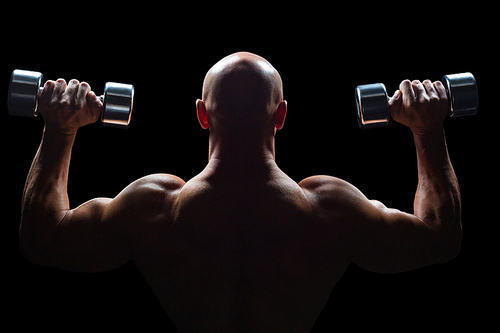 Rear view of muscular man lifting dumbbells