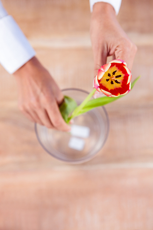 Woman putting a flower in a vase on wooden desk