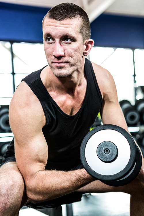 Muscular man exercising with dumbbells at gym