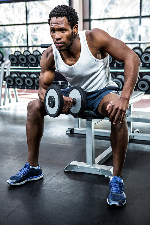 Muscular man exercising with dumbbells at gym