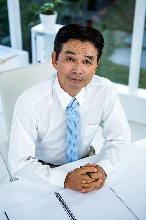 Portrait of asian businessman in office