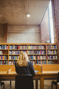 Rear view of woman studying in library