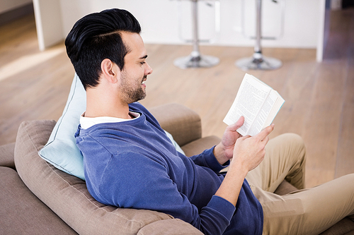 Handsome man reading a book on the couch in the living room