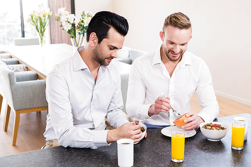 Smiling gay couple having breakfastin the kitchen