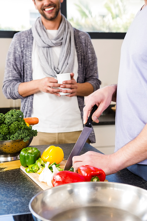 Mid section of gay couple preparing food in the kitchen