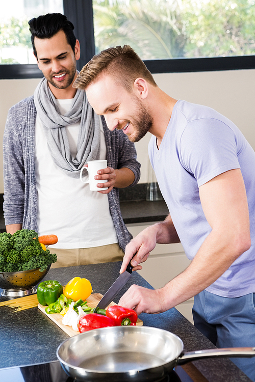 Smiling gay couple preparing food in the kitchen