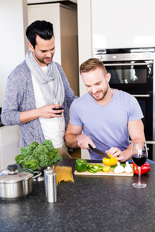 smiling gay couple preparing food in the kitchen