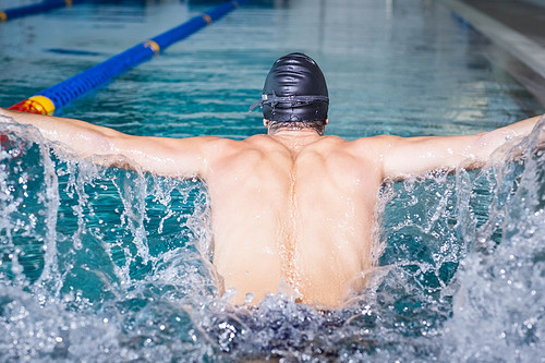 Rear view of man swimming in the pool