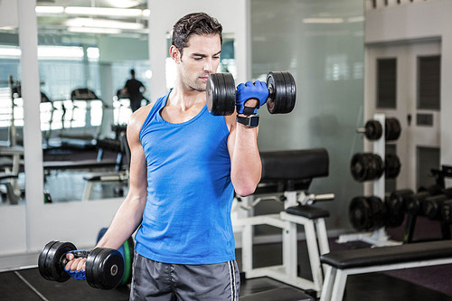 Muscular man lifting dumbbells at the gym