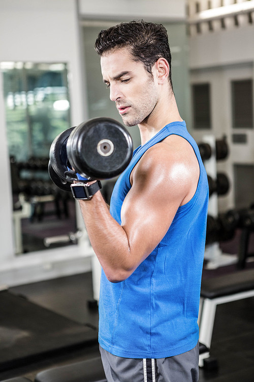 Muscular man lifting dumbbell at the gym