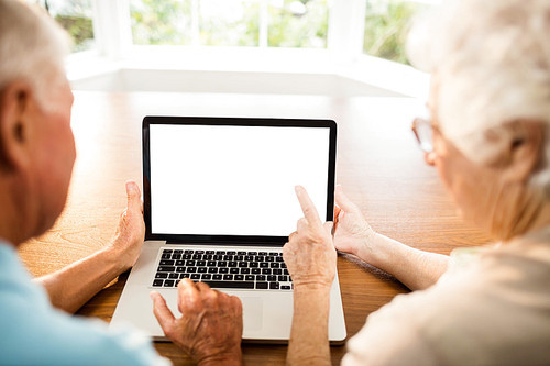 Rear view of senior couple using laptop at home