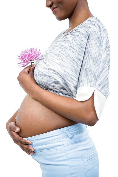 Pregnant woman with flower touching her belly on white background