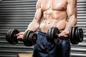 Shirtless man lifting heavy dumbbells at the crossfit gym