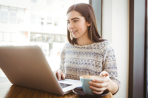 Pretty brunette using laptop in a coffee shop