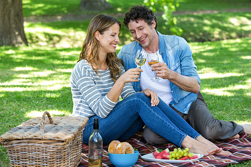 Couple having a picnic with wine in a park