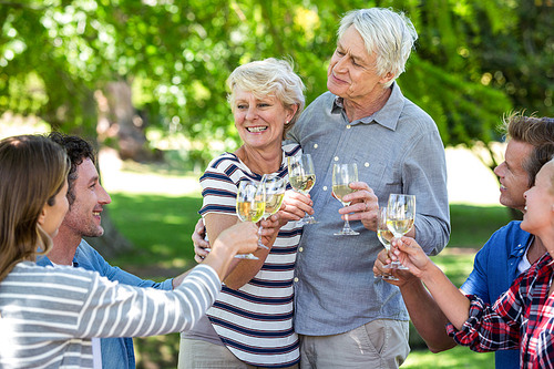 Friends drinking white wine in a park