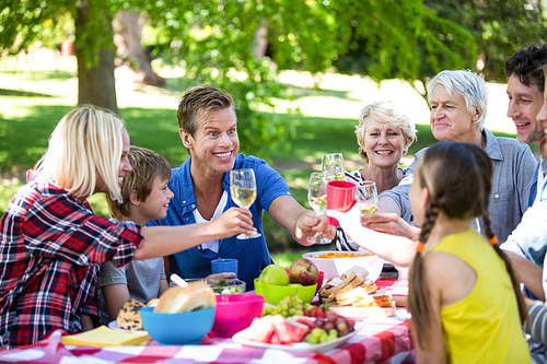 Family and friends having a picnic in a garden