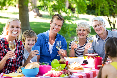 Family and friends having a picnic in a garden