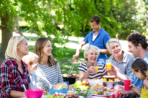 Family and friends having a picnic with barbecue in a park