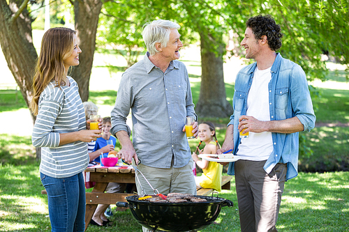 Family having a picnic with barbecue in a park