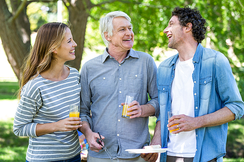 Family having a picnic with barbecue in a park