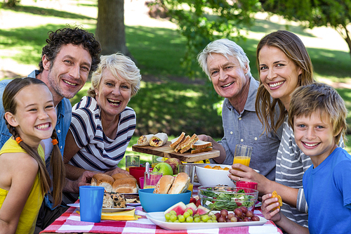 Family having a picnic in a park