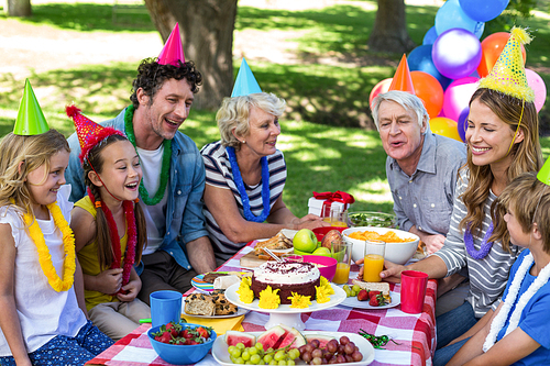 Happy family celebrating a birthday in the park