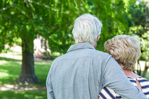 Rear view of senior couple embracing in park