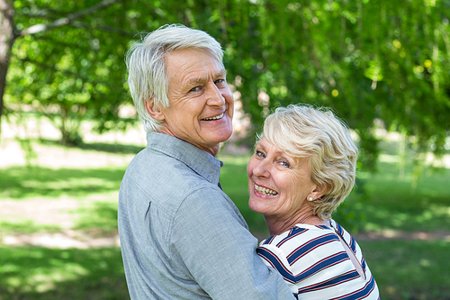 Rear view of senior couple embracing in park