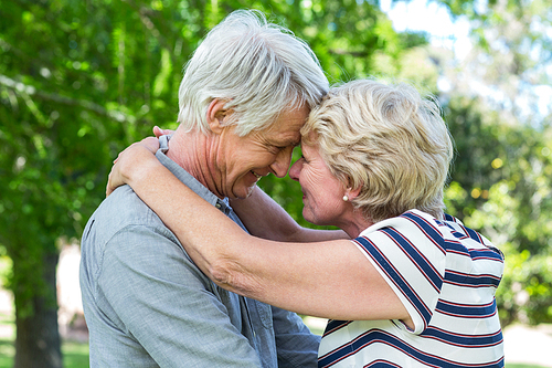 Senior couple embracing head to head in park