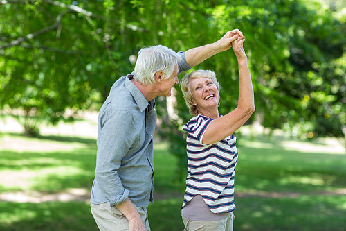 Senior couple dancing in park