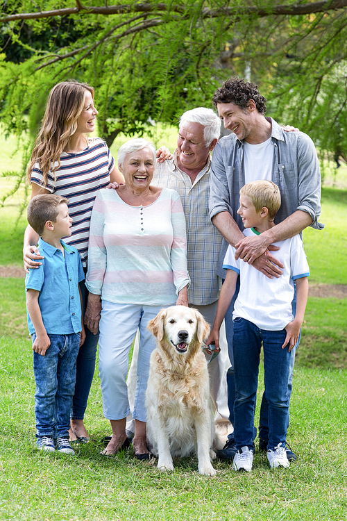 Family with dog in the park on a sunny day