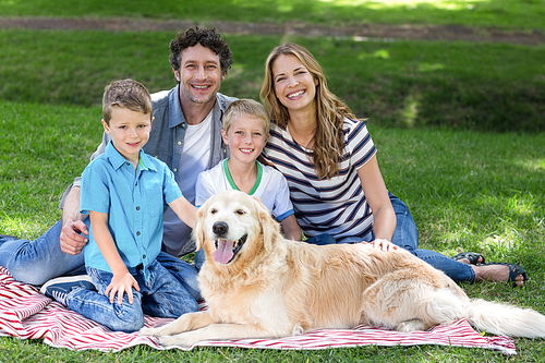 Family with dog in the park on a sunny day