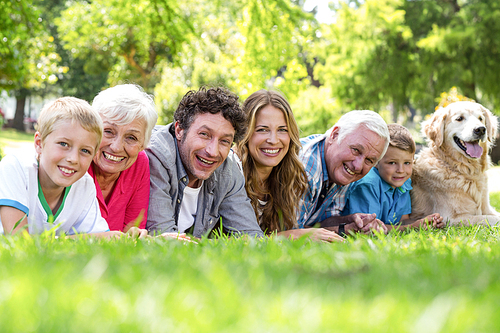 Family with dog lying on the grass in the park on a sunny day