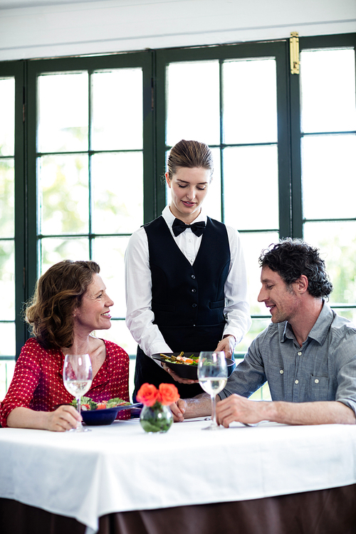 Waitress serving meal to a couple at restaurant