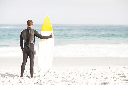 Rear view of man with surfboard standing on the beach on a sunny day